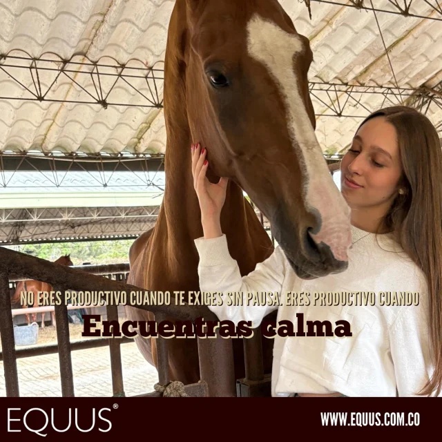 🫧 A veces crees que exigir más y más de ti es la clave para avanzar. Pero la verdadera productividad nace cuando encuentras calma. 🌿

🤍 No eres productivo cuando te exiges sin pausa.
Eres productivo cuando encuentras calma.

Tómate un momento para respirar hoy.
Tu mente y tu cuerpo te lo agradecerán. ✨🐴

#equus #calm #bienestarysalud #vidaconproposito #mindfulness