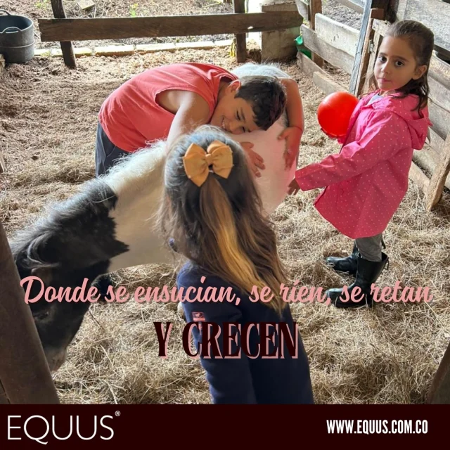 ✨ ¡Atención papás!
Esta no es cualquier semana de vacaciones… es la semana que tu hijo recordará toda su vida. 🌿🐴

En Equus, desconectan de las pantallas para reconectar con la naturaleza, con nuevos amigos y consigo mismos.
Aquí se ensucian, se ríen, se retan… y crecen. 💛

📣 Por petición de ustedes, abrimos una última semana de vacaciones recreativas.
¡Y los cupos vuelan! 🚨

🎒 Regálales una infancia con historias reales.
No dejes que tu hijo se lo pierda.

📲 Escríbenos ya y asegura su lugar.

#vacacionesrecreativas #infanciareal #semanainolvidable