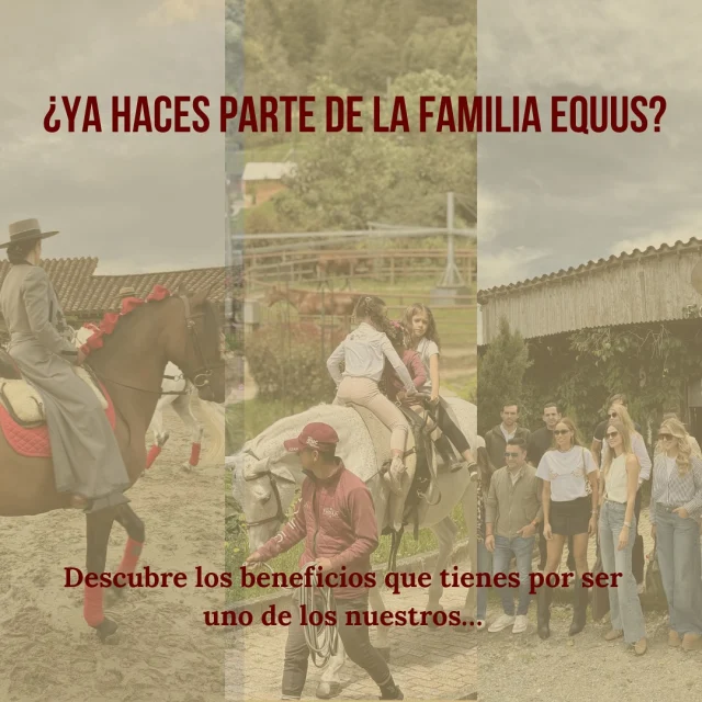 Ser parte de la Familia Equus no es solo montar… Es vivir experiencias únicas, crecer como jinete y disfrutar de beneficios que hacen la diferencia. 🐴✨ Desde descuentos exclusivos hasta reconocimiento por tu esfuerzo, aquí tu proceso importa… y se nota. Swipe para descubrir todo lo que ganas al ser parte de esta familia 🤎 ¿Ya eres parte? ¡Disfrútalo! ¿Aún no? Este es tu momento para unirte.  #equusmedellín #familiaequus #equitaciónconpropósito #equusexperience #caballoscolombia #riderslife #equitaciónconalma