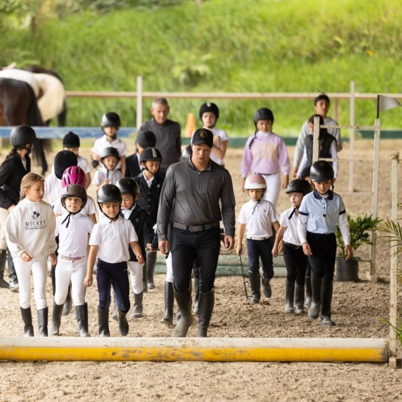 alta competencia equina