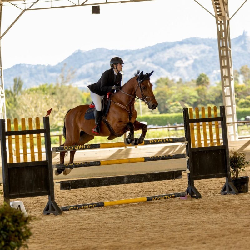 alta competencia equina equus